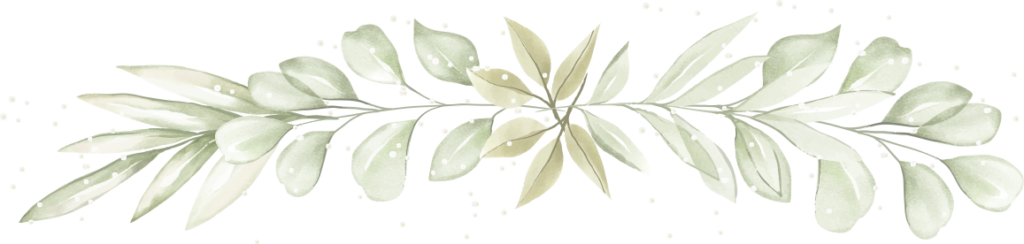 Fondo Romina-5 Secciones